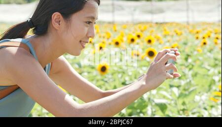 Woman taking photo on sunflower field Stock Photo