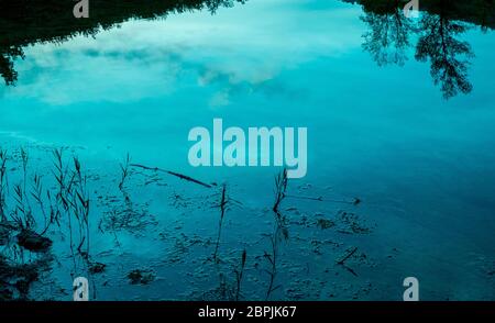 Sky and trees reflecting in the pond water at the dusk, background texture. Stock Photo
