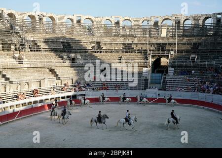 The Camargue cowboys aka Gardians showing their skill of horse riding and cattle herding in ancient Roman Amphitheater. Arles.Bouches-du-Rhone.Alpes-Cote d'Azur.France Stock Photo