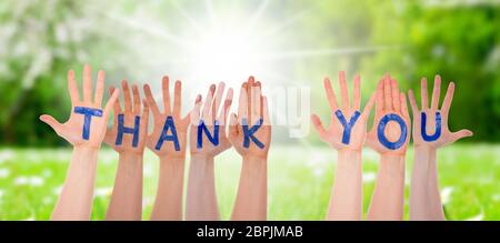 Many Hands Building English Word Thank You. Sunny And Shiny Grass Meadow With Daisy As Background Stock Photo