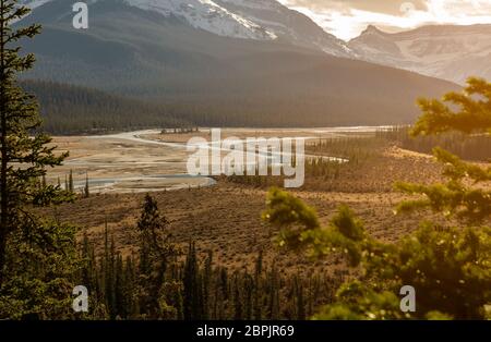 North Saskatchewan River and Mount Wilson at Banff National Park in Alberta, Canada. View from Saskatchewan River Crossing. Stock Photo