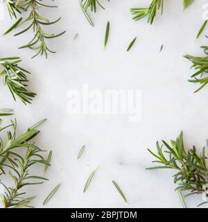 Rosemary sprigs on marble surface with copy space Stock Photo