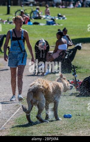 London, UK. 19th May, 2020. A woman exercises her dog in the model boating lake - people enjoy the sun on Clapham Common after the Government eased restrictions and allowed people to meet - Lambeth Council have replaced signs to say stay alert and to allow people sit on benches. The 'lockdown' continues for the Coronavirus (Covid 19) outbreak in London. Credit: Guy Bell/Alamy Live News Stock Photo