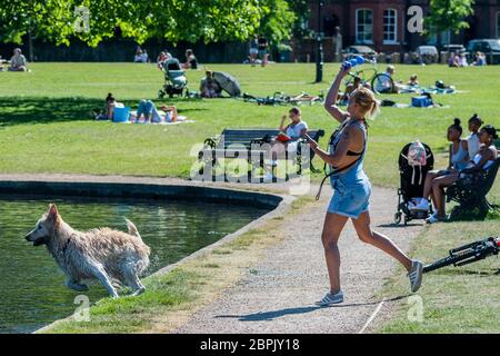 London, UK. 19th May, 2020. A woman exercises her dog in the model boating lake - people enjoy the sun on Clapham Common after the Government eased restrictions and allowed people to meet - Lambeth Council have replaced signs to say stay alert and to allow people sit on benches. The 'lockdown' continues for the Coronavirus (Covid 19) outbreak in London. Credit: Guy Bell/Alamy Live News Stock Photo