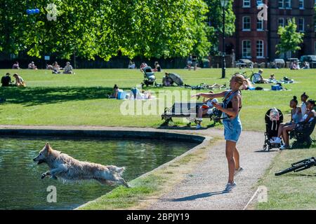 London, UK. 19th May, 2020. A woman exercises her dog in the model boating lake - people enjoy the sun on Clapham Common after the Government eased restrictions and allowed people to meet - Lambeth Council have replaced signs to say stay alert and to allow people sit on benches. The 'lockdown' continues for the Coronavirus (Covid 19) outbreak in London. Credit: Guy Bell/Alamy Live News Stock Photo