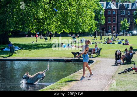 London, UK. 19th May, 2020. A woman exercises her dog in the model boating lake - people enjoy the sun on Clapham Common after the Government eased restrictions and allowed people to meet - Lambeth Council have replaced signs to say stay alert and to allow people sit on benches. The 'lockdown' continues for the Coronavirus (Covid 19) outbreak in London. Credit: Guy Bell/Alamy Live News Stock Photo