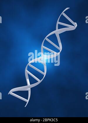 DNA strand on blue background Stock Photo