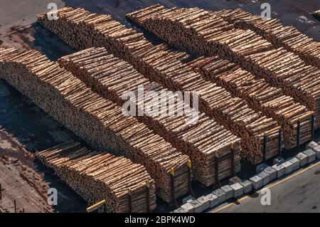 Large stacks of timber logs, ready to be loaded, at Port of Napier, from Bluff Hill Lookout, in Napier, Hawke's Bay Region, North Island, New Zealand