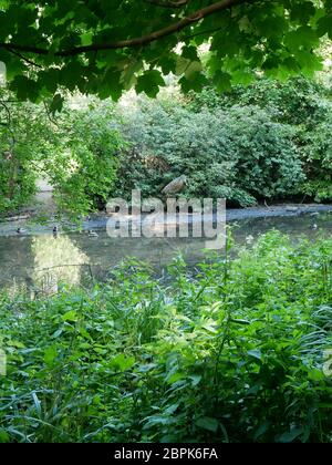 Kelsey Park, Beckenham,Kent Stock Photo