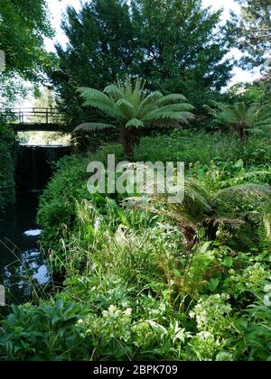 Kelsey Park, Beckenham,Kent Stock Photo