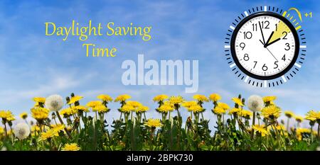 Daylight Saving Time (DST) Wall Clock on spring landscape. Turn time forward. Abstract photo of changing time at spring. Stock Photo