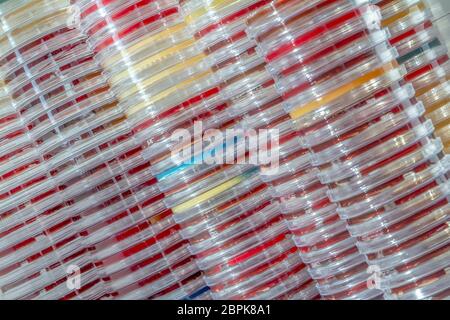 full frame abstract shot showing lots of stacked petri dishes filled with colorful agar growth medium Stock Photo