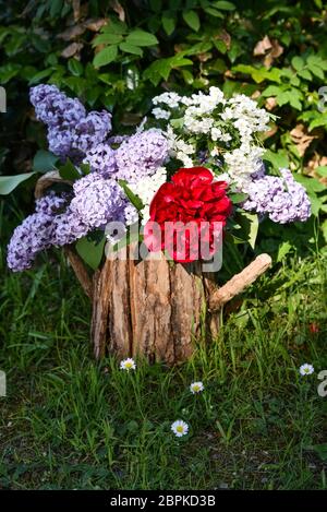 Bouquet with lilac and peony roses Stock Photo