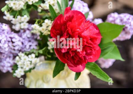 Bouquet with lilac and peony roses Stock Photo