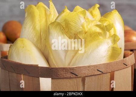 delicious chicory endives from France or Belgium in a small wooden basket Stock Photo