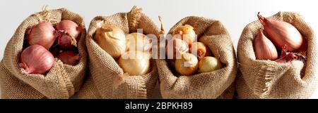 Set of various onion harvest sorted in burlap sack bags and arranged in a row, viewed in close-up on white background Stock Photo