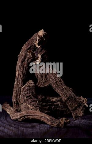 Dry chopped roots of yellow gentian (Gentiana lutea L.) Stock Photo