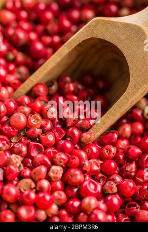 Dried pink peppercorn and wooden spoon. Stock Photo
