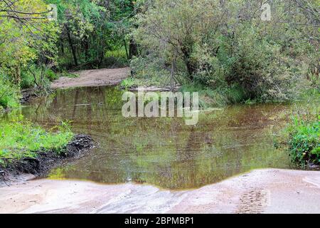 A flooded out portion of an atv trail. Stock Photo
