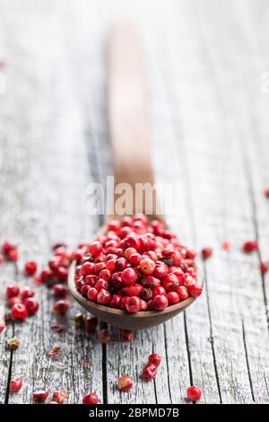 Dried pink peppercorn in spoon. Stock Photo