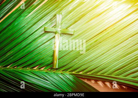 Cross shape of palm leaf on palm branches with ray in wooden background. Palm Sunday concept Stock Photo