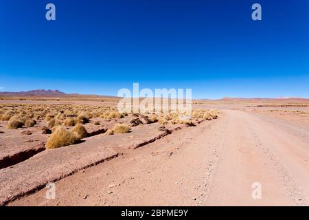 Bolivian dirt road perspective view,Bolivia. Andean plateau view Stock Photo