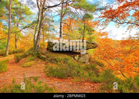 Altschlossfelsen rock in Dahn Rockland in autumn, Germany Stock Photo