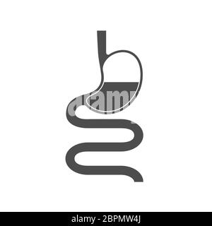 Stomach. Vector design. Stock illustration isolated on a white background. Stock Vector