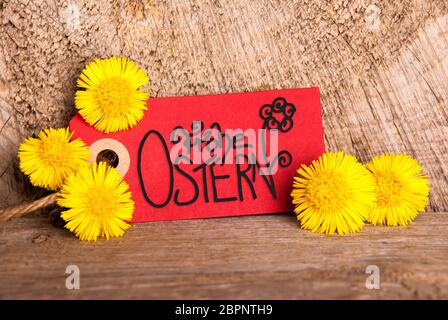 Red Label With German Calligraphy Frohe Ostern Means Happy Easter. Beuatiful Handlettering With Flower. Dandelion Blossom On Wooden Rustic Background Stock Photo