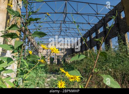 Old abandoned industrial factory Krayan in Odessa, Ukraine, in a sunny summer day Stock Photo