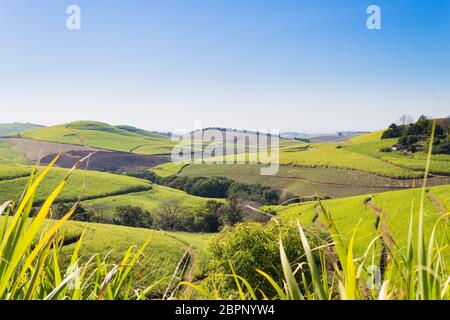 Valley of a Thousand hills landscape. Green hills panorama. South African landmark near Durban. Stock Photo