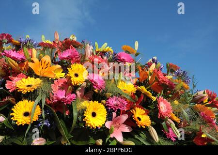Floristic decoration with colorful gerberas and lilies against a blue sky Stock Photo