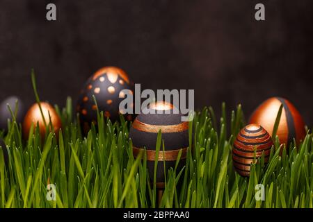 Black and gold eggs hiding in green grass over black background Stock Photo