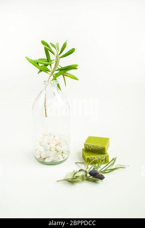 An olive branch in a vintage glass bottle on white wall background and a handmade olive soap bar. Stock Photo