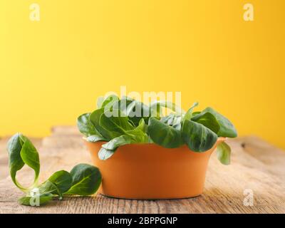 Fresh organic Lamb's lettuce in a rustic ceramic bowl on a wooden kitchen table, healthy food Stock Photo