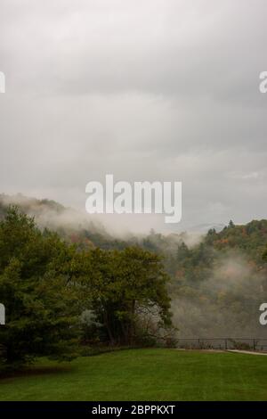 Fog sets in over the meadow partially hiding the autumn colored treeds. Stock Photo