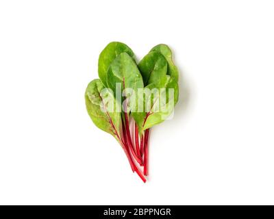 Bunch of fresh green chard leaves or mangold salad leaves on white background. Flat lay or top view fresh baby beet leaves, isolated on white backgrou Stock Photo