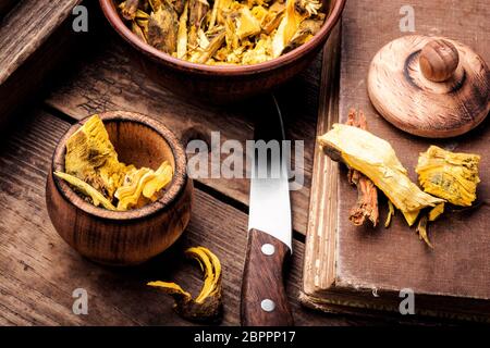 Barberry root.Chinese herbal medicine.Dried herbs for use in alternative medicine. Stock Photo