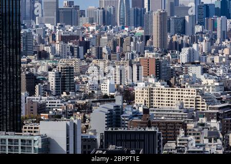 aerial view of Tokyo skylines and skyscrapers buildings in Shinjuku ward in Tokyo. Taken from Tokyo Bunkyo civic center observatory sky desk. Stock Photo