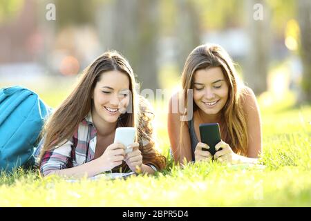 Front view of two students texting in their smart phones lying on the grass in a park Stock Photo