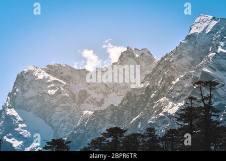 Selective focus: Yumthang Valley or Valley of Flowers sanctuary, is a nature beauty on meadows species of the rhododendron, the state flower, surround Stock Photo