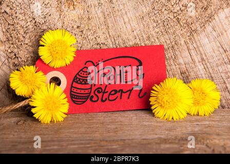 Red Label With German Calligraphy Frohe Ostern Beautiful Handlettering With Easter Egg. Means Happy Easter. Dandelion Blossom On Wooden Rustic Backgro Stock Photo