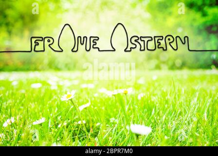 German Calligraphy Frohe Ostern Means Happy Easter. Sunny Spring Grass Meadow With Daisy Flowers Stock Photo