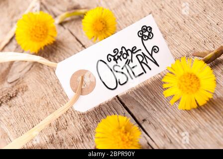 Label With German Calligraphy Frohe Ostern Means Happy Easter. Beuatiful Handlettering With Flower. Dandelion Blossom On Wooden Rustic Background Stock Photo