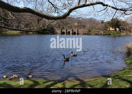 Frank Melville Memorial Park Setauket Long Island New York Stock Photo