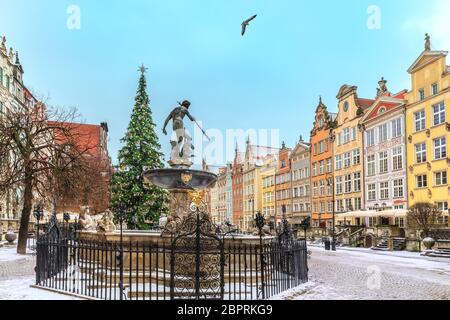 Christmas Gdansk, the Neptune's Fountain in Long market, no people. Stock Photo