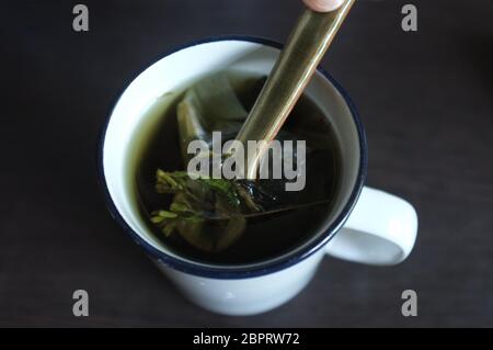 ea with Green and dired Stevia leaves in white glass Stock Photo