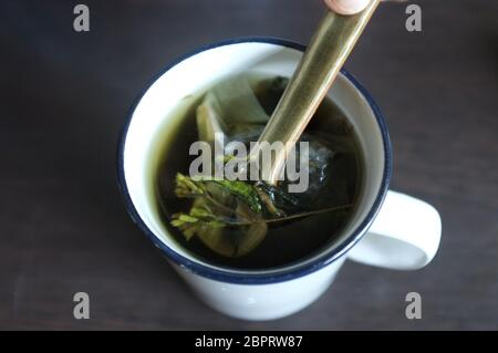 ea with Green and dired Stevia leaves in white glass Stock Photo