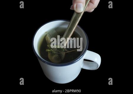 ea with Green and dired Stevia leaves in white glass Stock Photo