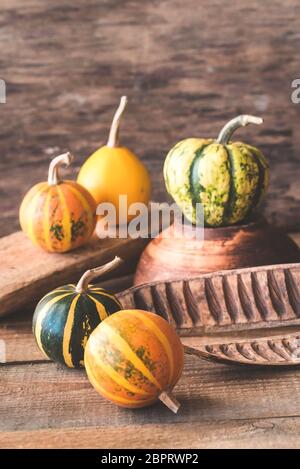 Variety of ornamental pumpkins on the wooden background Stock Photo